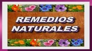 Recuperar la Flora Intestinal con Remedios Naturales [upl. by Olive115]