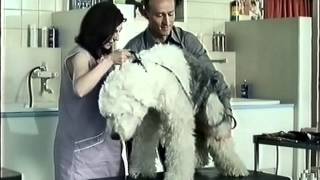 HypoVereinsbank Werbung 2001 Hundesalon [upl. by Haskel]