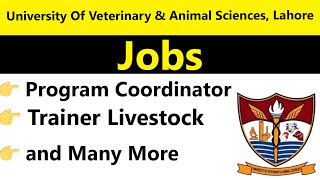 University of Veterinary amp Animal Sciences Lahore Jobs Alert Trainer Livestock amp More [upl. by Kara823]