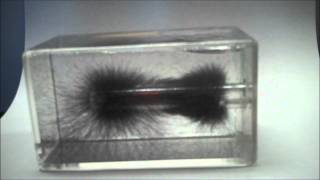 Magnetic Field lines 3D [upl. by Ammadis638]