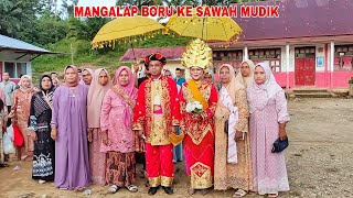 MANGALAP BORU KE SAWAH MUDIK RANGKAIAN ADAT PESTA PERNIKAHAN ANAK KAMI [upl. by Rivera]