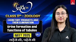 EXCRETORY PRODUCT AND THEIR ELIMINATION CLASS11NEET2025 URINE FORMATIONamp FUNCTIONS OF TUBULESL3 [upl. by Raynah]