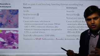 NocardiaActinomycetes USMLE Step 1 2021 Microbiology lecture 16 page 139 [upl. by Novyat]