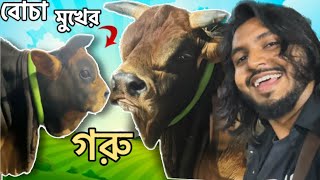 বোচা মুখের গরু দেখতে গোপনে একটি খামারে ঢুকেছি ।Eid ul Adha 2023 [upl. by Asiret]