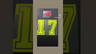 Sportflex Ironon basketball jersey ontario cricut [upl. by Etam]