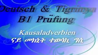 kausaladverbien weil da denn deshalb trotzdemobwohl ናይ መክኒት ተወሳኪ ግሲ ። deutsch grammer [upl. by Batruk]