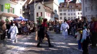 Wasserfalleschränzer FasnachtClip «Papa Joe» Umzug Liestal 2014 [upl. by Nihi]