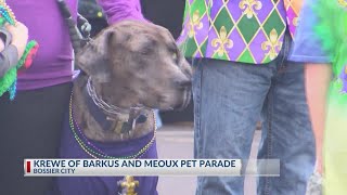 The Krewe pf Barkus and Meoux 2024 Pet parade [upl. by Rezal]