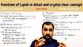 Functions of Lipids  one shot  easily explained  Biological molecules  in Urdu Hindi [upl. by Aninad278]