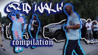 Crip Walk Compilation  BEST Crip Walk Ever  2023 [upl. by Ynnig152]