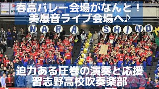 春高バレー会場を習志野高校吹奏楽部の美爆音ライブ会場に変えてしまった！迫力ある圧巻の演奏と応援（モンキーターンやレッツゴー習志野も） [upl. by Seumas]