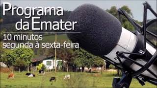 Programas de rádio da EmaterRSAscar 121124 [upl. by Bonine760]