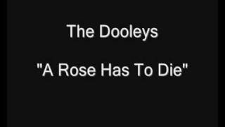 The Dooleys  A Rose Has To Die HQ Audio [upl. by Angelo722]