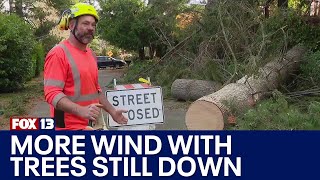 More wind headed to WA as crews clear downed trees FOX 13 Seattle [upl. by Amelie509]