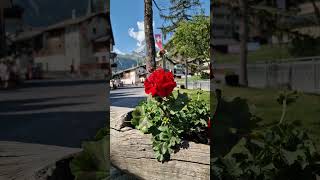 Zermatt The Most Unbelievable Travel Experience [upl. by Othilie699]