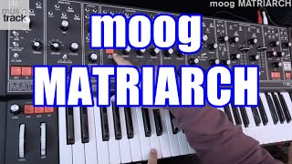 moog MATRIARCH Demo amp Review [upl. by Druce]