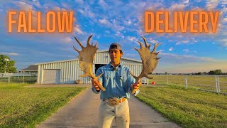 GIANT BUCK Gets DELIVERED to My FARM [upl. by Haron]