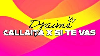 Djaime  Callaita x Si Te Vas Bad Bunny Omega El Fuerte [upl. by Ahsatam]