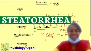 Malabsorption of lipids Steatorrhea  Gastrointestinal system physiology lecture [upl. by Gerhard]