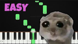 Sad Hamster Violin│EASY Piano Tutorial│RIGHT HAND 🤚 [upl. by Inhsor649]