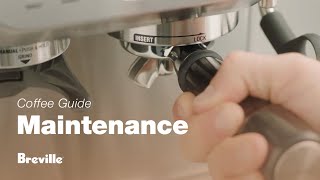 The Barista Express®  A daily cleaning guide the group head purge  Breville USA [upl. by Herates]