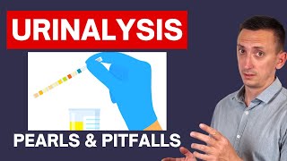 Urinalysis Interpretation in Urinary Tract Infections UTIs [upl. by Nylanaj]