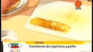 canelones rellenos de pollo y verdura pt4 201201163gp [upl. by Ylime84]