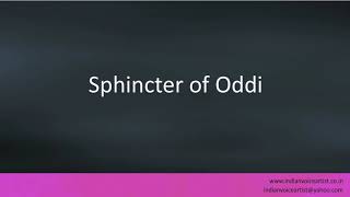 Pronunciation of the words quotSphincter of Oddiquot [upl. by Aicargatla]