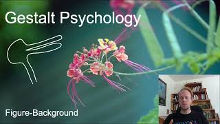 MerleauPonty Phenomenology of Nature Key Concepts part 6 gestalt psychology [upl. by Pharaoh]