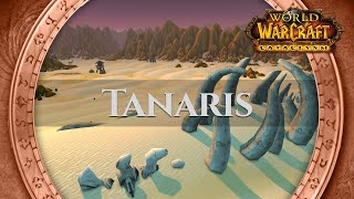 Tanaris  Music amp Ambience  World of Warcraft [upl. by Notlaw]