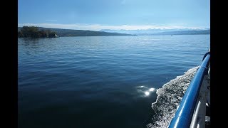 BrunchSchiff  Zürichsee Schifffahrtsgesellschaft ZSG [upl. by Deva]