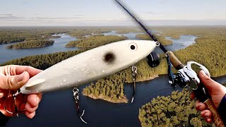 Fishing The Mighty FRENCH RIVER for Bass Pike and MUSKY [upl. by Malha]