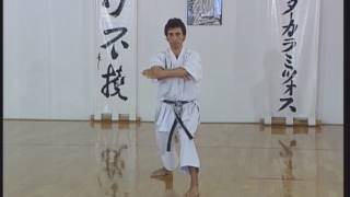 Shotokan  Heian Yondan [upl. by Nylavad315]