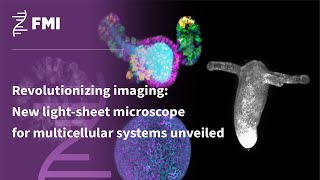 Revolutionizing imaging New lightsheet microscope for multicellular systems unveiled [upl. by Tallula]