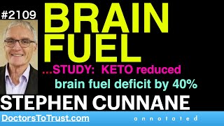 STEPHEN CUNNANE a2  BRAIN FUEL…STUDY KETO reduced brain fuel deficit by 40 [upl. by Obel967]