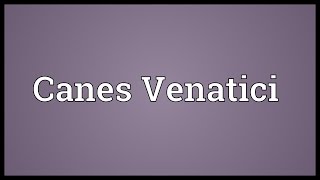 Canes Venatici Meaning [upl. by Anaerb]