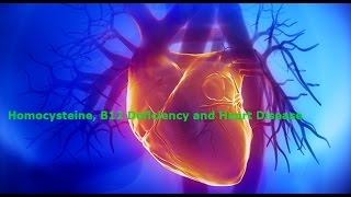 Homocysteine ಬಿ 12 ಕೊರತೆ ಮತ್ತು ಹೃದಯ ರೋಗಗಳು B12 Deficiency and Heart Disease [upl. by Isaacs]