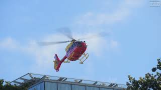 Westpac Rescue Helicopter taking off from Hospital Helipad [upl. by Edrahs]