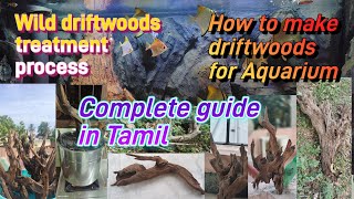 How to treat driftwoods for aquarium complete making guide in Tamil [upl. by Alletneuq]