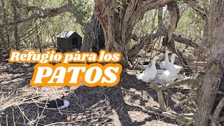 Un refugio para los patos [upl. by Irneh885]