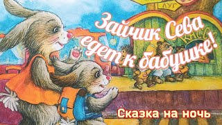 🐰Зайчик Сева едет к бабушке Аудиосказки для детейСказки для малышей [upl. by Sherborne]