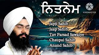 Nitnem Sahib full path  Bhai Manpreet Singh Kanpuri kirtan singh gurbanikirtan gurbani music [upl. by Gusta]