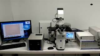 Zeiss PALM MicroBeam LCM Laser Dissection System  AXIO Observer Microscope BOSTONIND  14330 [upl. by Elyssa213]