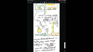 Mentalization Based Therapy Overview [upl. by Newell]