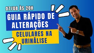 Guia rápido de alterações celulares na urinálise [upl. by Eyt]