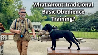 Traditional Basic Obedience Training  Labrador Retriever Session Excerpt [upl. by Hahcim]