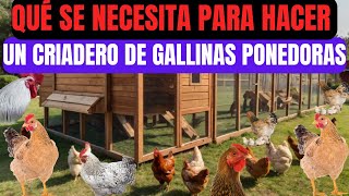 ¿Qué se necesita para hacer un criadero de gallinas ponedoras para generar riquezas desde casa [upl. by Axe459]