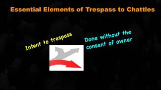 Meaning of Trespass to Chattels in Tort Law [upl. by Tita]