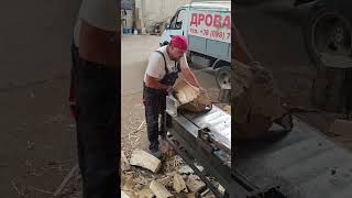 Hard work firewoodbusiness bighornbeamwoodworking дровакол woodsplitter [upl. by Fotina240]