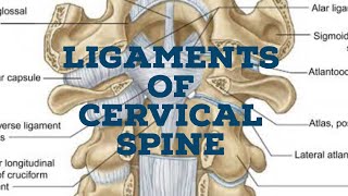 Ligaments of cervical spine [upl. by Soisanahta]